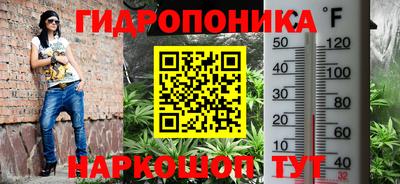 эйфоретик Малгобек