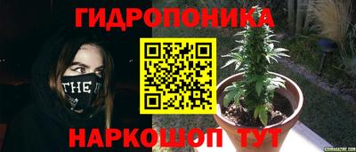 а пвп мука Моздок