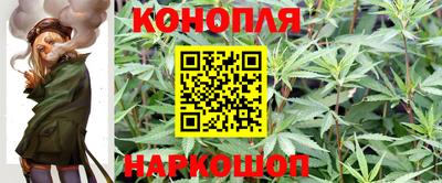 эйфоретик Малгобек